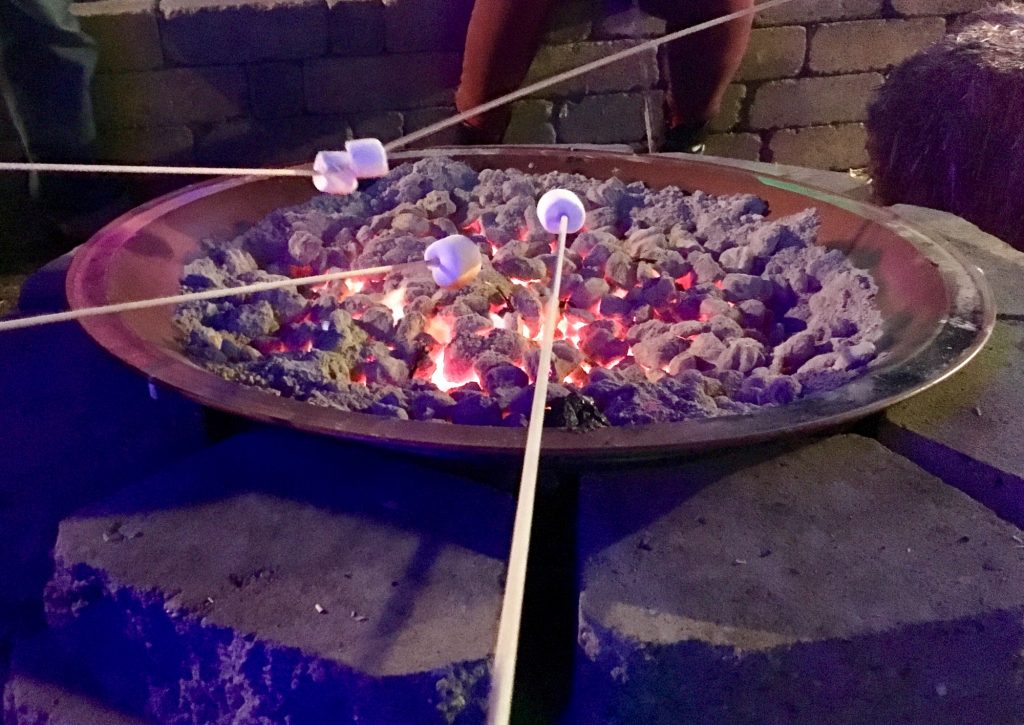 Roasting marshmallows at fire pit