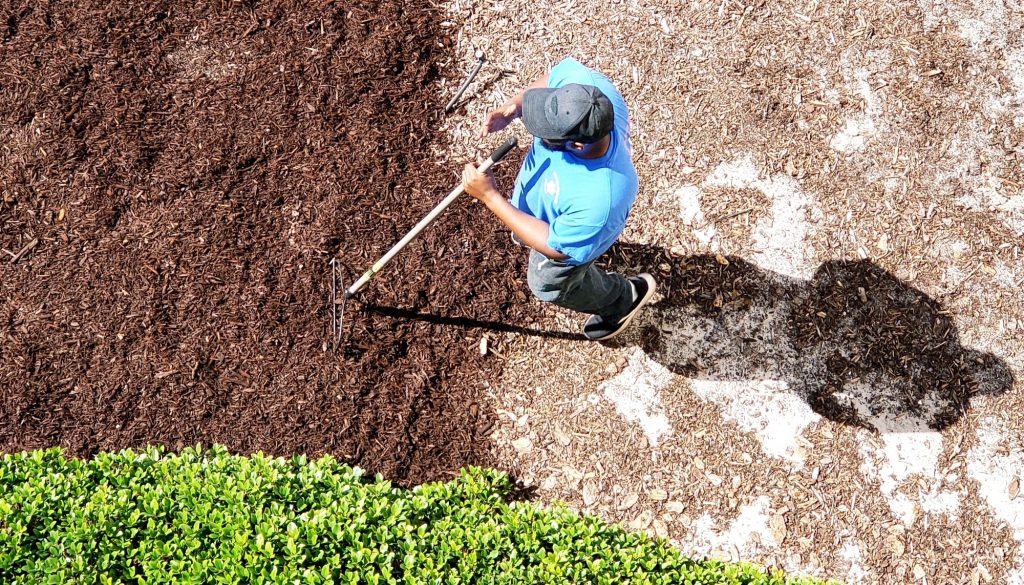 Yard man spreading mulch in outdoor garden area.